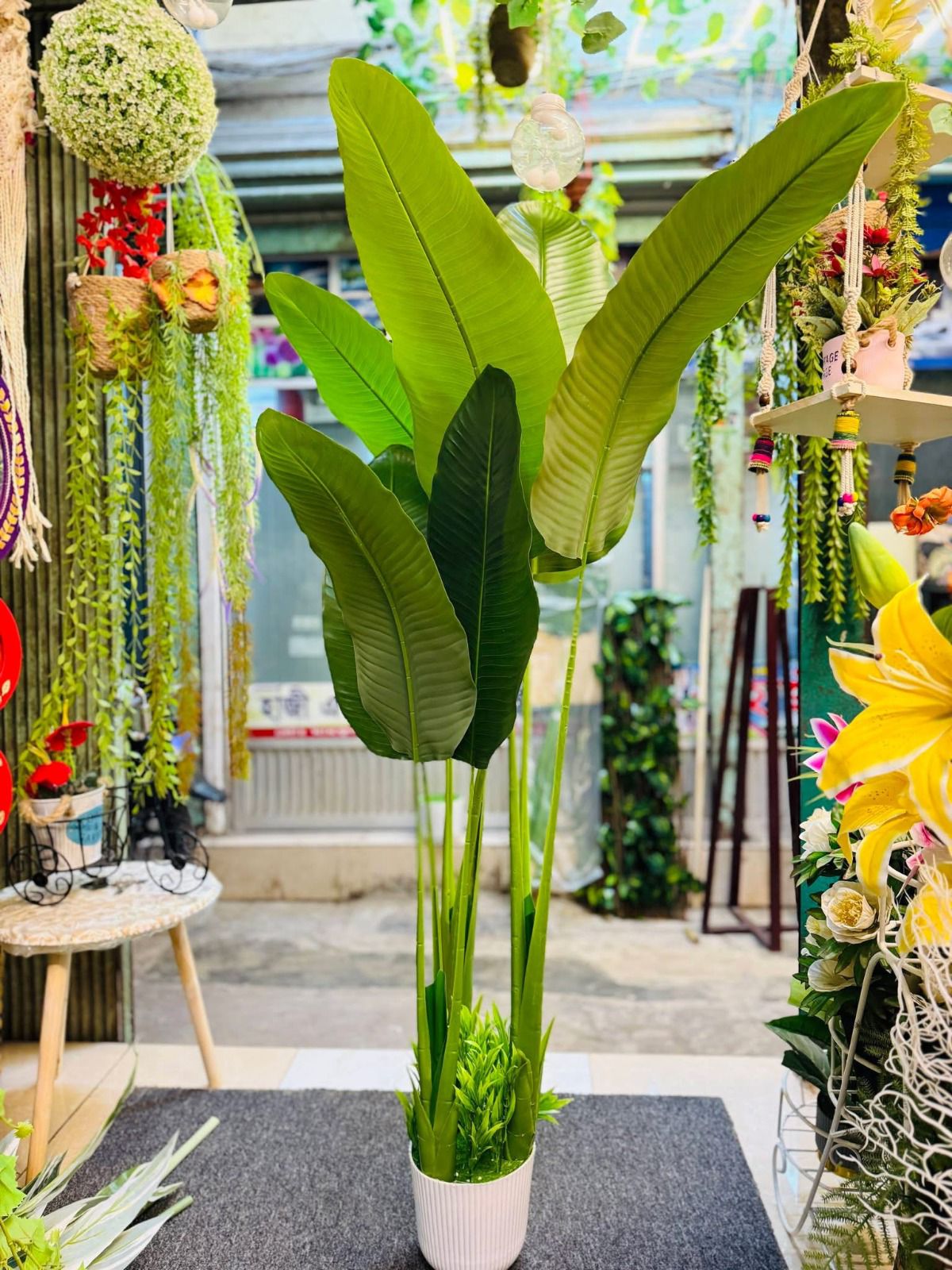 Nordic Style Banana Tree